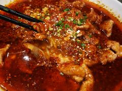 -北京老铺烤鸭(老城根店)