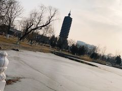 -西海子公园