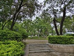 -飞来湖湿地公园