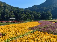 -广州市石门国家森林公园