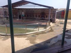 神龙仙岛海上主题公园-神龙仙岛景区