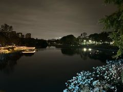 -新江湾城公园