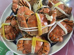 -小陆莲花蟹园农家乐(莲花岛店)