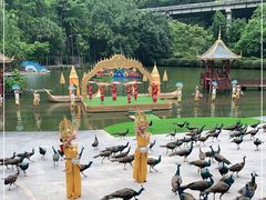 -西双版纳原始森林公园