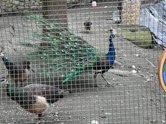 -成都欢乐谷