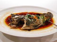 清蒸老虎斑-南景饭店(万家丽路店)