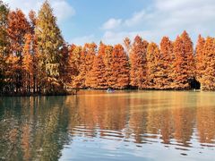 -上海海湾国家森林公园