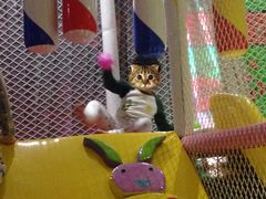 -水善汇温泉洗浴汗蒸会馆(中泽城店)