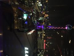 上海凯宾斯基大酒店-上海凯宾斯基大酒店
