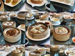 -春满园·早茶·粤菜·宴会(粤海店)