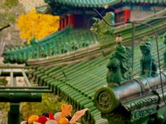 -茶源Fountain Lounge大堂吧·北京东方君悦大酒店