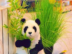 -大熊猫毛肚火锅(烟台万象汇店)