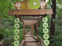 -大岭沟猕猴桃谷风景区