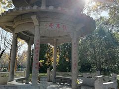 -玲珑塔公园