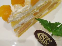 -COVA(上海K11艺术中心店)