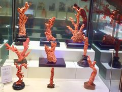 -绮丽珊瑚博物馆(台东店)
