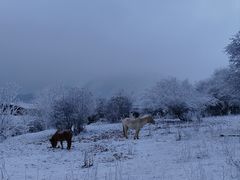 -太子岭滑雪场