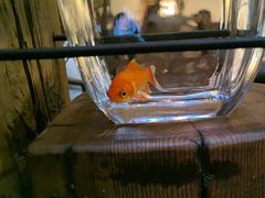 -瓦库茶馆17号(海汇港店)