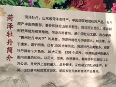 -曹州牡丹园