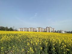 -中国天府农业博览园