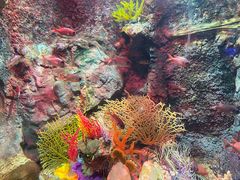 -太平洋海底世界