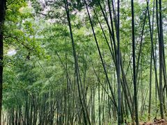 -乌石村