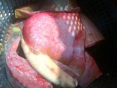 iphone_upload_pic-老三鱼仔店