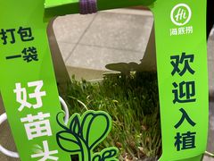 -海底捞火锅(正大乐城店)