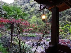 -宁波余姚老柿林山居度假村