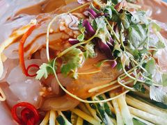 东北大拉皮-鸽子窝(青塔店)