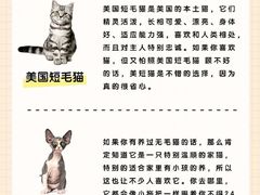 -爱侣宠医·鹦鹉专科·小型哺乳类·异宠专科(灵石路店)