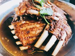 加羊排-蝎王府羊蝎子(西稍门店)