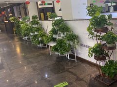 -鸭王烤鸭店(三里河店)