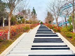 -盈香心动乐园