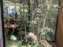 -绿茶餐厅(布吉万象汇店)