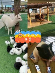 -萌宠亲子动物乐园(槐房万达店)