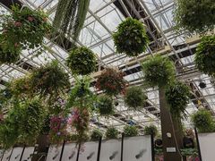 -常州花鸟园酒店(西太湖品牌优选店)