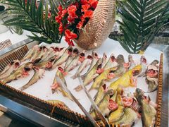 -吉布鲁牛排海鲜自助(339店)