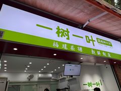 -一树一叶·福建茶档(石鼓路店)