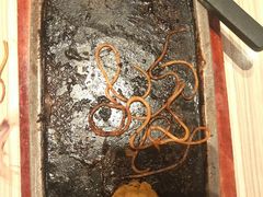 -必胜客(东营万达店)