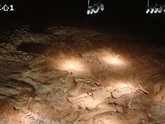 -世界恐龙谷景区