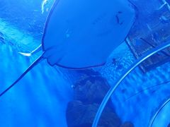 -石家庄极地海洋世界