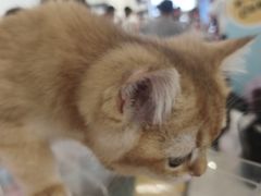 -巴黎春天(浦建店)