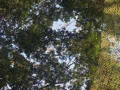 -青城道汤池