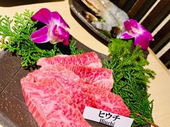 -松阪牛焼肉M(法善寺横丁店)