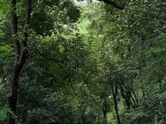 -南京市江宁方山