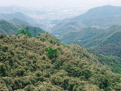 -莫干山风景区
