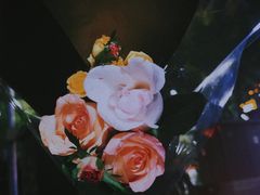 -豫姥家黄河滩地锅城(白沙店)