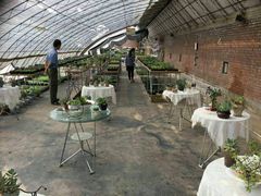 多肉植物-御林汤泉