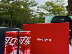 -福田红树林生态公园